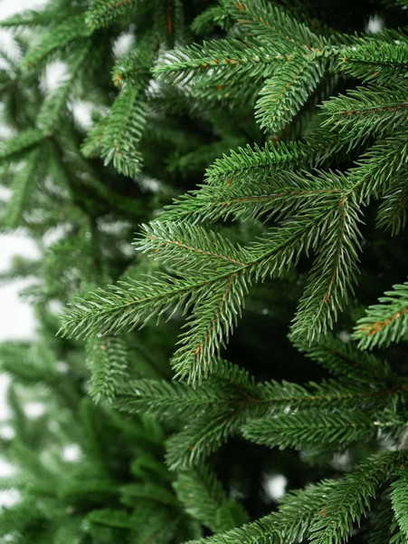 Изображение товара Ель искусственная National Tree Company Рождественская Премиум / РД/ПР-180 (180см)