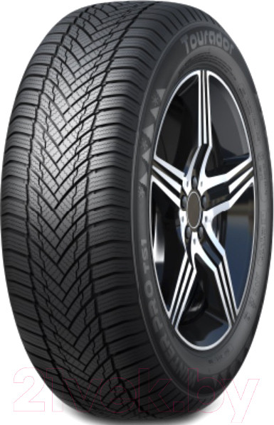 Изображение товара Зимняя шина Tourador Winter Pro TS1 195/65R15 91T
