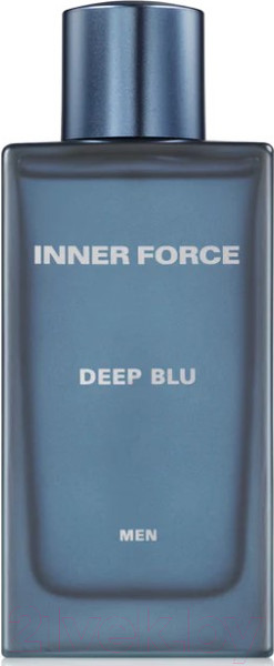 Изображение товара Туалетная вода Geparlys Inner Force Blue Amber for Men (100мл)
