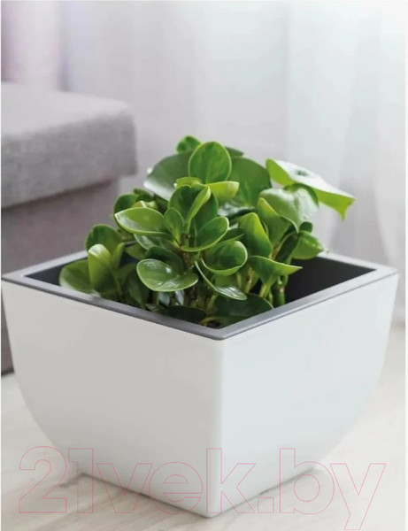 Изображение товара Кашпо Formplastic Муна / 3340-011+059 (белый)