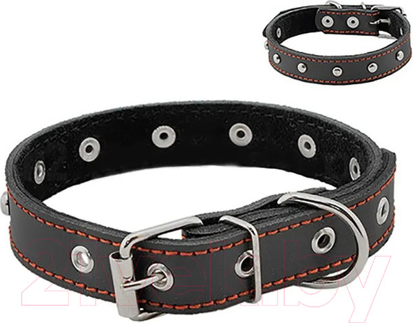 Изображение товара Ошейник Homepet 25мм 35-47см / 75883 (черный)
