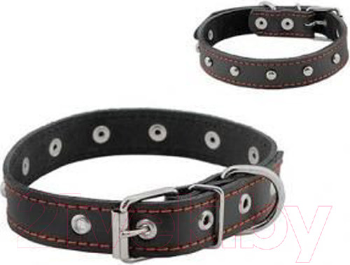 Изображение товара Ошейник Homepet 30мм 41-53см / 75884 (черный)