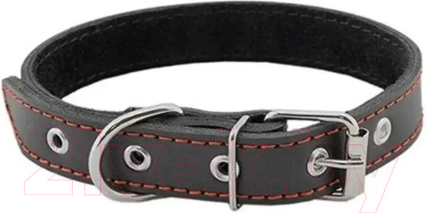 Изображение товара Ошейник Homepet 35мм 49-61см / 75891 (черный)