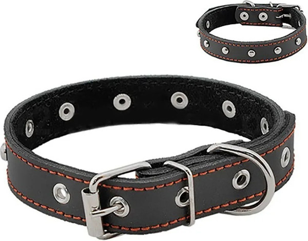 Изображение товара Ошейник Homepet 15мм 28-38см / 75893 (черный)