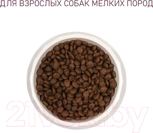 Изображение товара Сухой корм для собак Award Adult Small с ягненком и индейкой с доб. брокколи и брусники (800г)