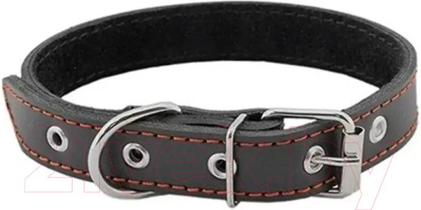 Изображение товара Ошейник Homepet 25мм 35-47см / 75877 (черный)
