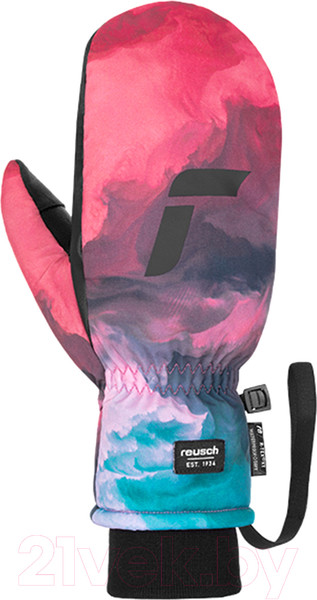 Изображение товара Варежки лыжные Reusch Carter R-Tex XT Mitten / 6302530-3346 (р-р 9, Clouds)