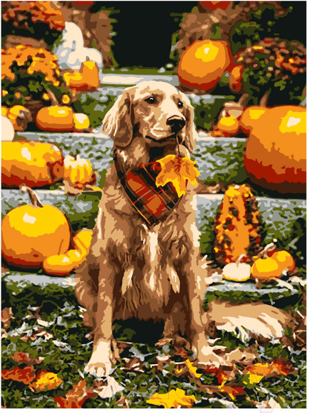 Изображение товара Картина по номерам Lori Собака / Кпн-302