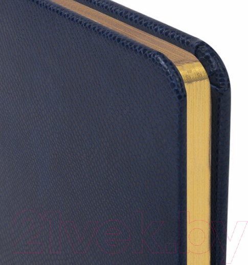 Изображение товара Еженедельник Brauberg 114476 (64л, синий)