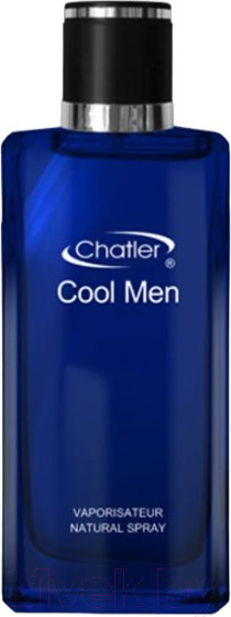 Изображение товара Парфюмерная вода Chatler Cool Men (100мл)
