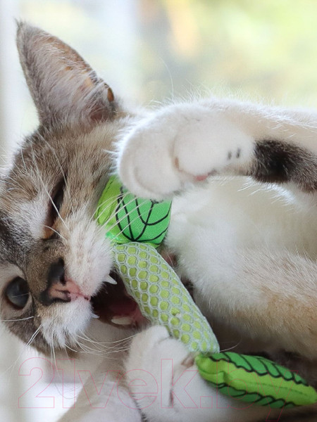 Изображение товара Игрушка для кошек Petstages Dental Мятный листик / 335YEX