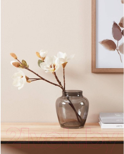 Изображение товара Ваза Eglo Asindro 421204 (стекло, серый)