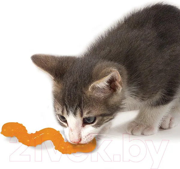 Изображение товара Игрушка для кошек Petstages Energize Орка червяк / 329YEX