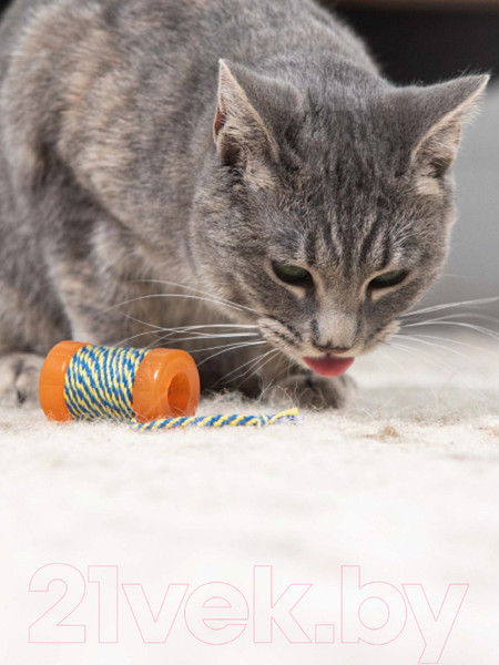 Изображение товара Игрушка для кошек Petstages Energize Орка катушка с веревочкой / 313YEX