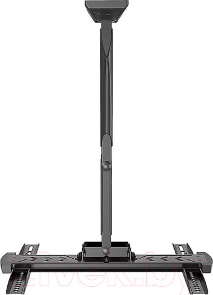 Изображение товара Кронштейн для телевизора Gembird WM-55ST-02