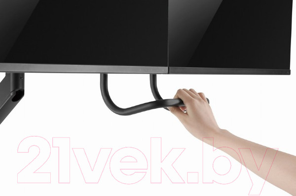 Изображение товара Кронштейн для монитора Gembird MA-DA2-04