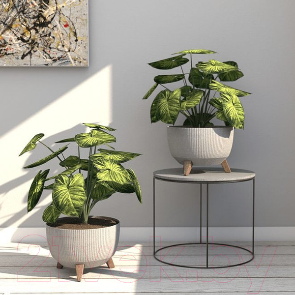 Изображение товара Кашпо Lamela Misa Roma Eco Jumper / LA962-05