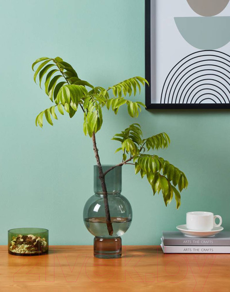 Изображение товара Ваза Eglo Ampitabe 421231 (стекло, серый)