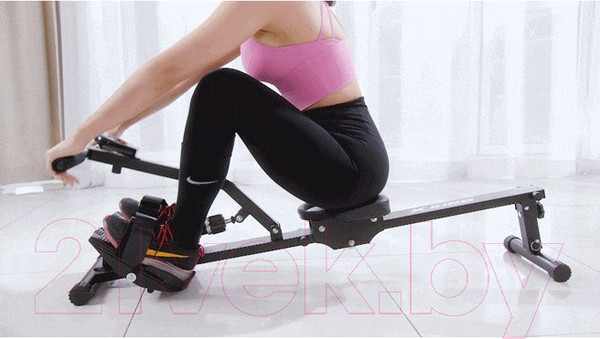 Изображение товара Гребной тренажер DFC Row-M-2000