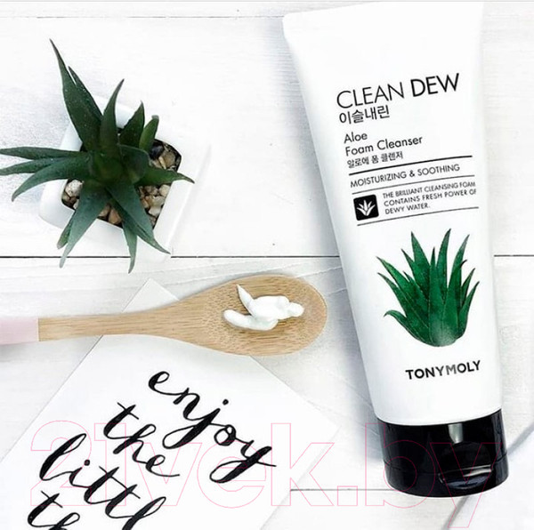 Изображение товара Пенка для умывания Tony Moly Clean Dew Aloe Foam Cleanser (180мл)