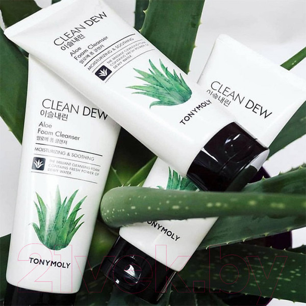 Изображение товара Пенка для умывания Tony Moly Clean Dew Aloe Foam Cleanser (180мл)