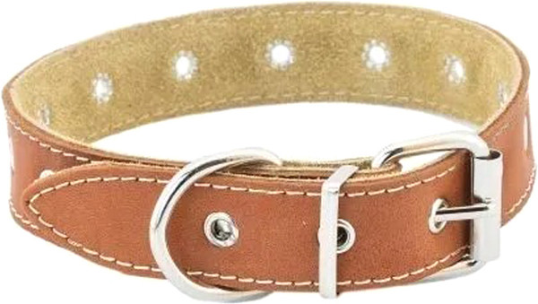Изображение товара Ошейник Homepet 25мм до 45см / 84019 (коричневый)