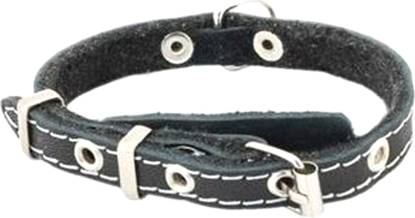 Изображение товара Ошейник Homepet 15мм 22-35см / 84026 (черный)