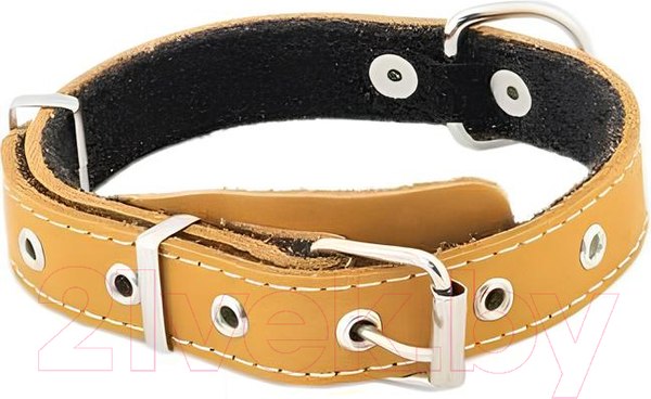 Изображение товара Ошейник Homepet 30мм 37-52см / 84036 (янтарь)