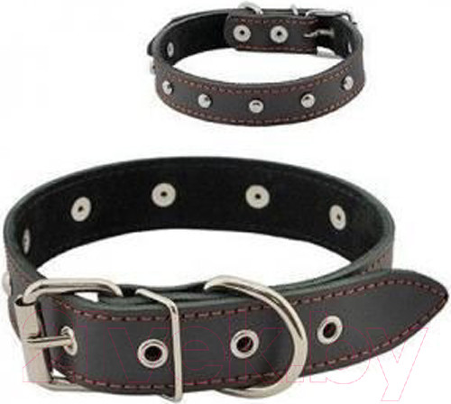 Изображение товара Ошейник Homepet 35мм 59-61см / 75897 (черный)