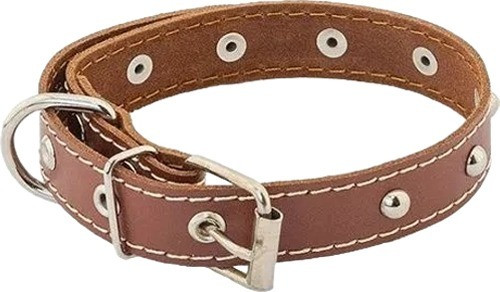 Изображение товара Ошейник Homepet 20мм 32-42см / 77813 (коричневый)