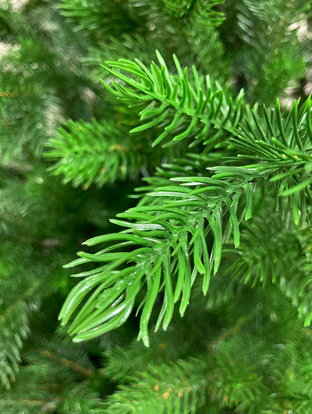 Изображение товара Ель искусственная GreenTerra Астерия Премиум 3D (2.1м)