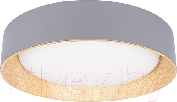 Изображение товара Потолочный светильник Loftit Coin 10202 (серый)