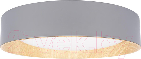 Изображение товара Потолочный светильник Loftit Coin 10202 (серый)