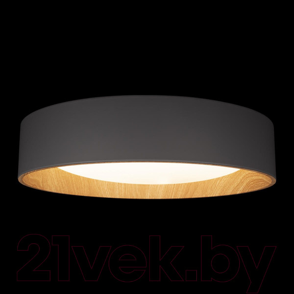 Изображение товара Потолочный светильник Loftit Coin 10202 (серый)