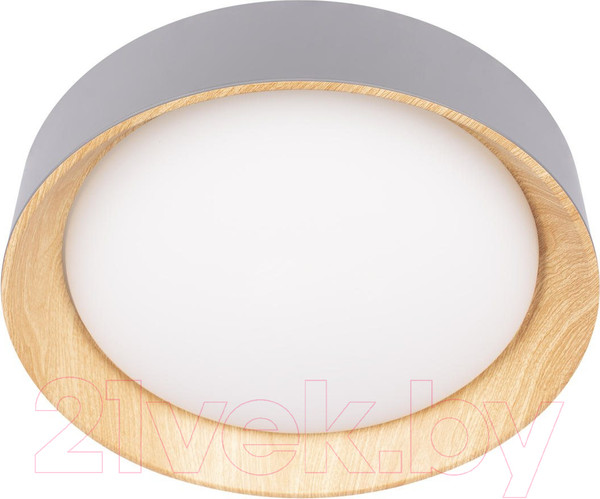 Изображение товара Потолочный светильник Loftit Coin 10202 (серый)