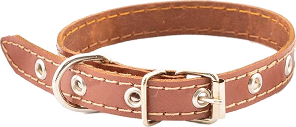 Изображение товара Ошейник Homepet 20мм 32-42см / 77819 (коричневый)