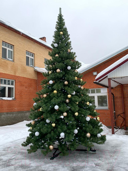 Изображение товара Ель искусственная GreenTerra Клеопатра (4м)