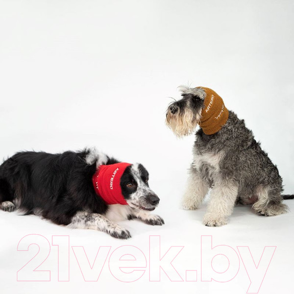 Изображение товара Бандаж-антистресс для животных Artero Для собак S, M, L / A511