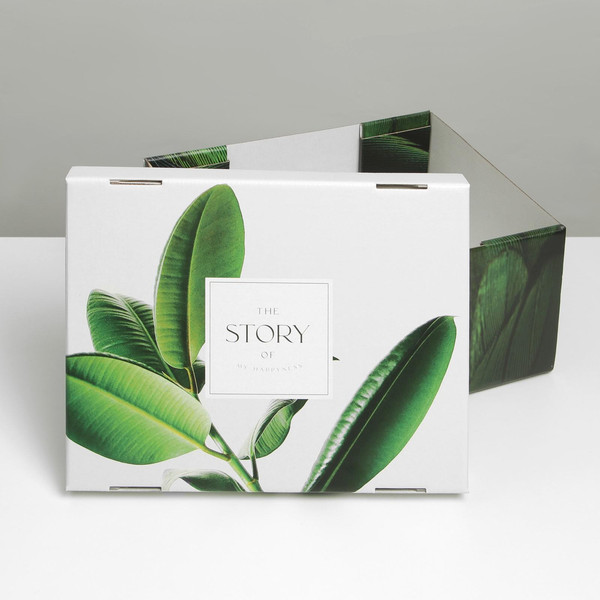 Изображение товара Коробка подарочная Дарите счастье Листья / 6987643