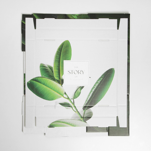 Изображение товара Коробка подарочная Дарите счастье Листья / 6987643