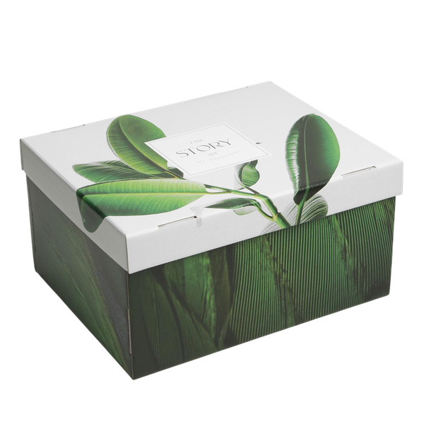 Изображение товара Коробка подарочная Дарите счастье Листья / 6987643