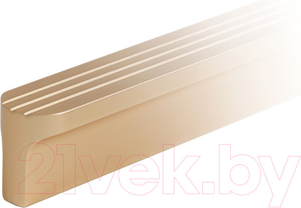 Изображение товара Ручка для мебели Boyard Shell RS064SG.4/960