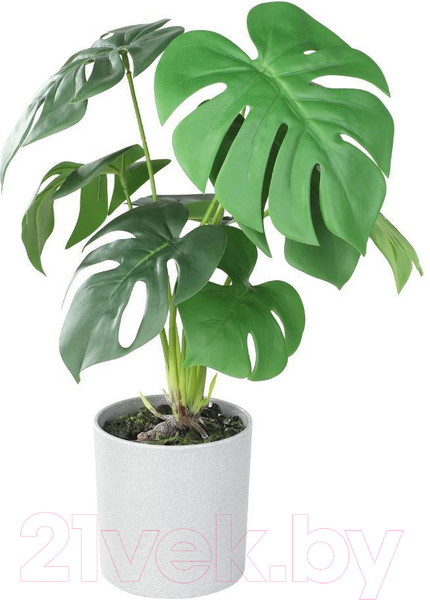 Изображение товара Искусственное растение Eglo Tobetsu 428017 (пластик, серый)