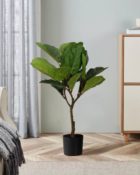 Изображение товара Искусственное растение Eglo Tobetsu 428021 (пластик, зеленый/черный)