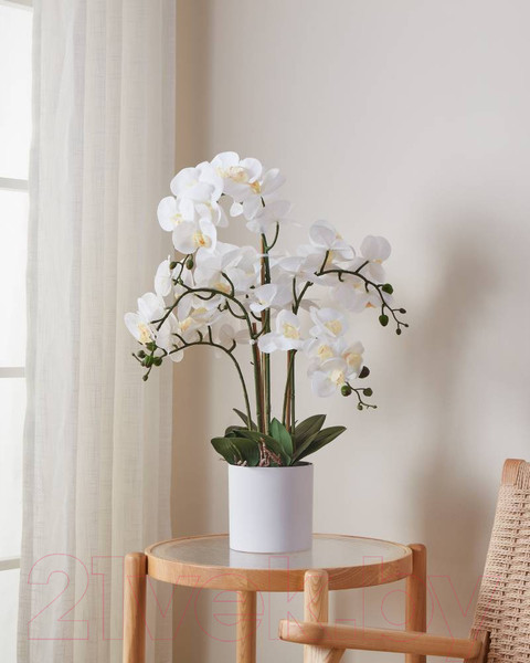 Изображение товара Искусственное растение Eglo Hyuga 428024 (пластик, белый)