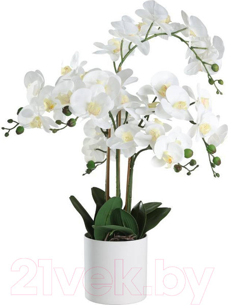 Изображение товара Искусственное растение Eglo Hyuga 428024 (пластик, белый)