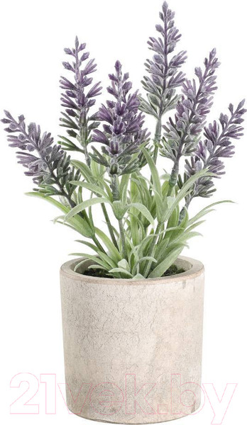 Изображение товара Искусственное растение Eglo Chitose 428031 (пластик, коричневый)