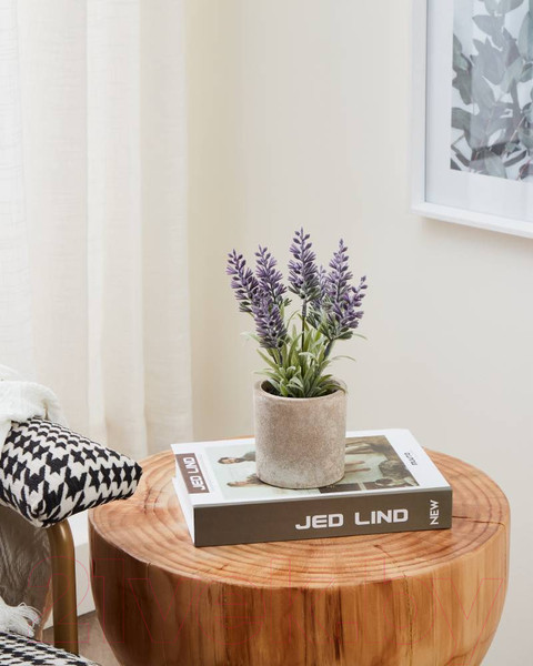 Изображение товара Искусственное растение Eglo Chitose 428031 (пластик, коричневый)