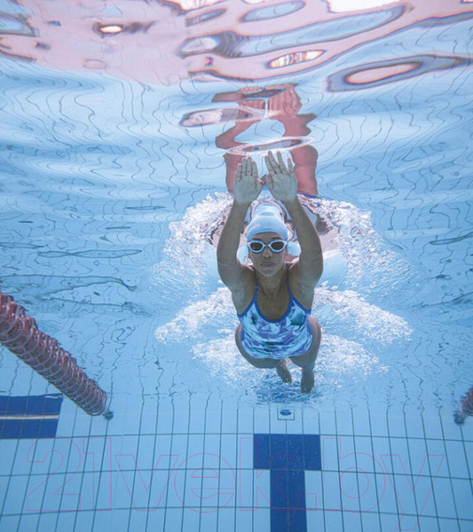 Изображение товара Очки для плавания ZoggS Predator / 461037 (Regular, голубой/белый)