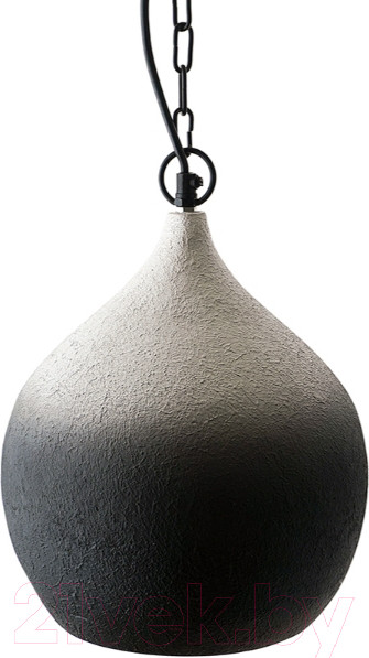 Изображение товара Потолочный светильник Bergenson Bjorn Sustainable / BB0000173 (черный/белый)